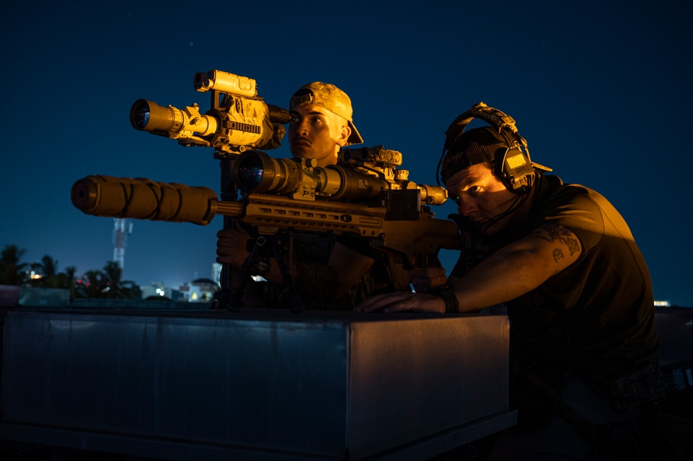 Emergency Deployment Readiness Exercise Tanzania