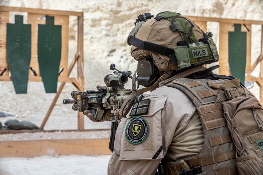 U.S. Coalition members conduct live fire training