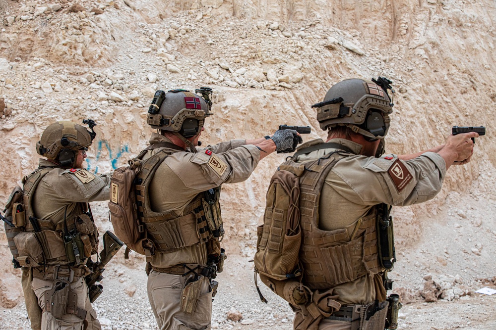 U.S. Coalition members conduct live fire training