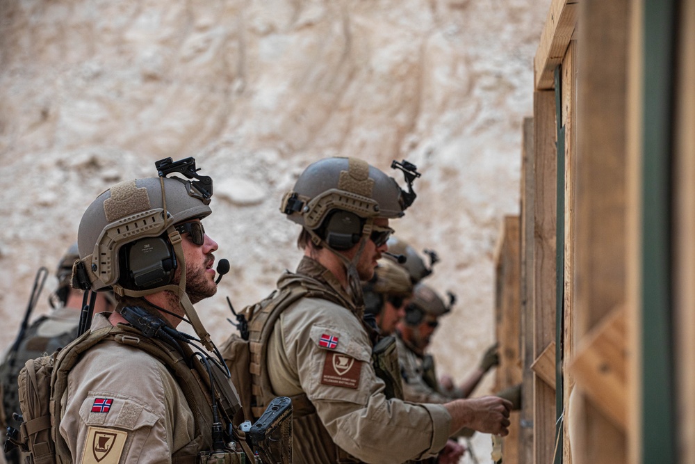 U.S. Coalition members conduct live fire training