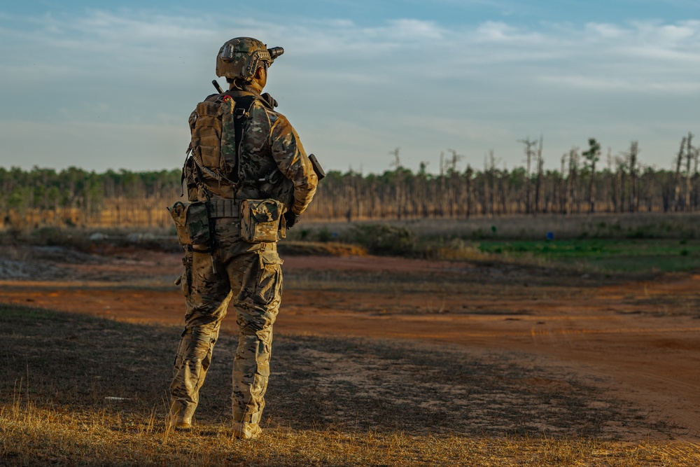 SOFEX tests combined force capability