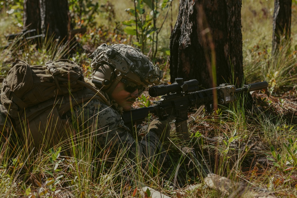 2/8 Live-fire range