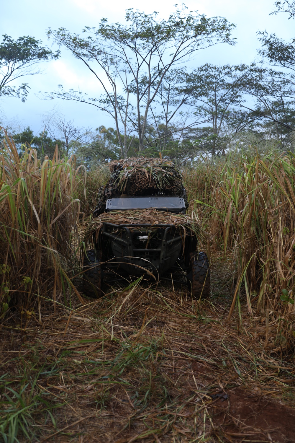 25th Infantry Division Soldiers participate in an assault on South Range during JPMRC 24-01