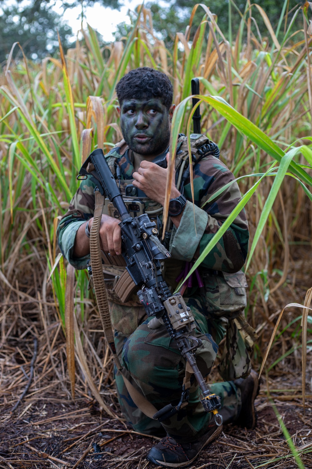 US Soldiers attack objective during JPMRC 24-01