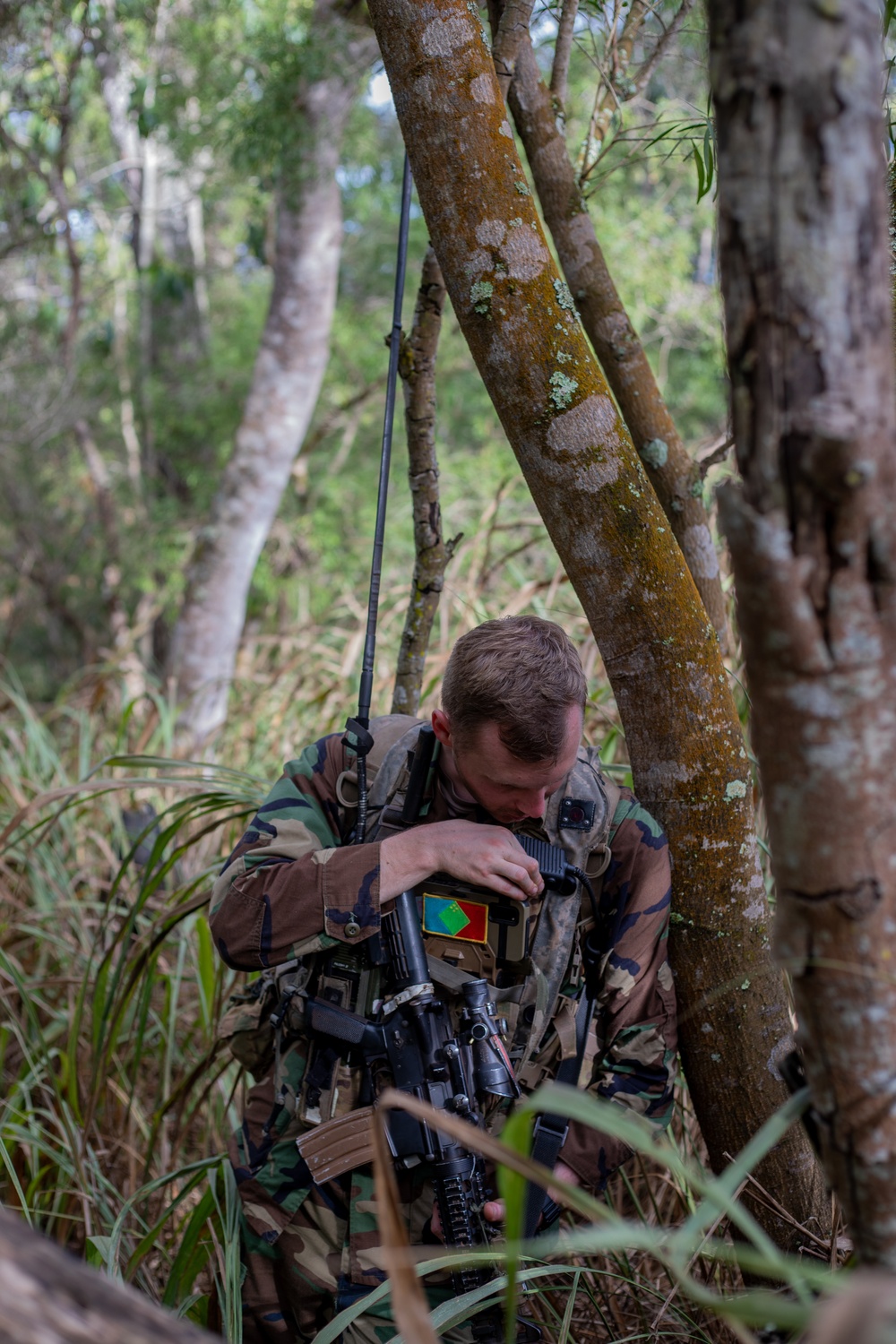 US Soldiers attack objective during JPMRC 24-01