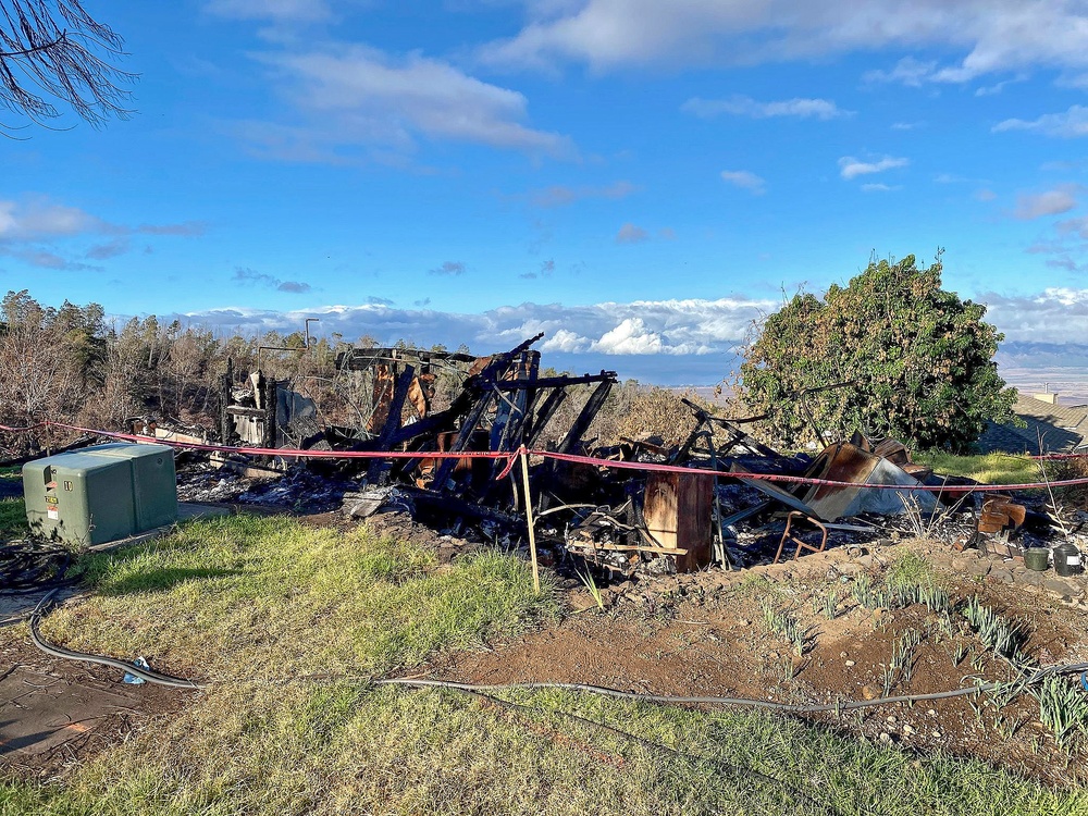 USACE begins Phase 2 debris removal in Kula, HI