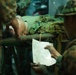 Resolute Dragon 23 FTX Bilateral Casualty Evacuation Drill
