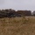 Resolute Dragon 23: HIMARS, M270 MLRS Bilateral Live-fire at Yausubetsu
