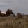Resolute Dragon 23: HIMARS, M270 MLRS Bilateral Live-fire at Yausubetsu