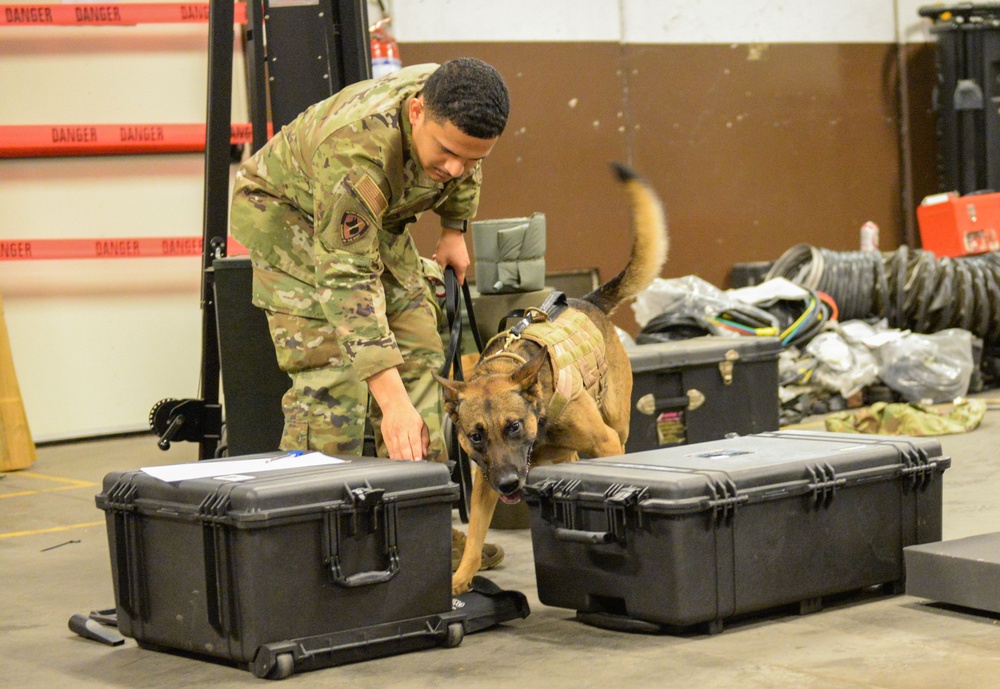 K-9 Certification Course