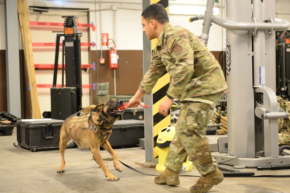 K-9 Certification Course