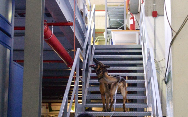 K-9 Certification Course