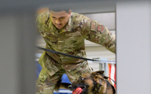 K-9 Certification Course