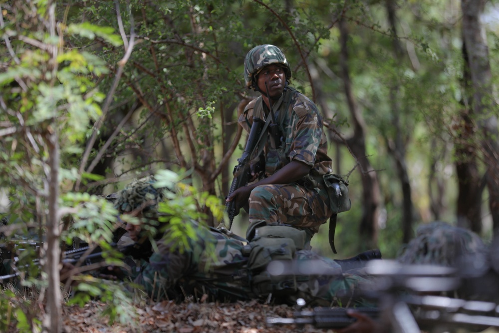 SETAF-AF observes Malawi Section Commanders course