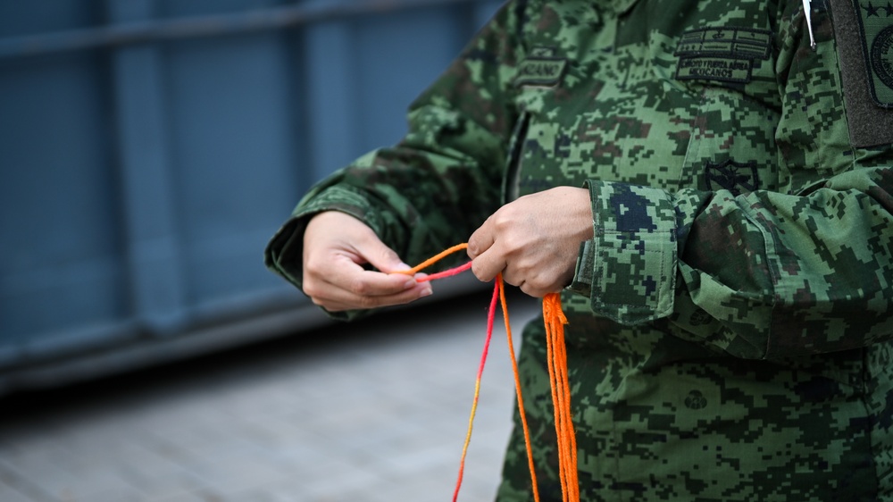 Multidimensional Security in the Americas Course Exercise