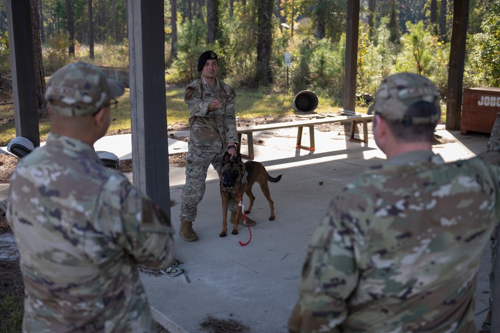 Security Forces demos capabilities for leadership