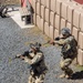 25th ID Soldiers Conduct Military Operations in Urban Terrain During JPMRC 24-01