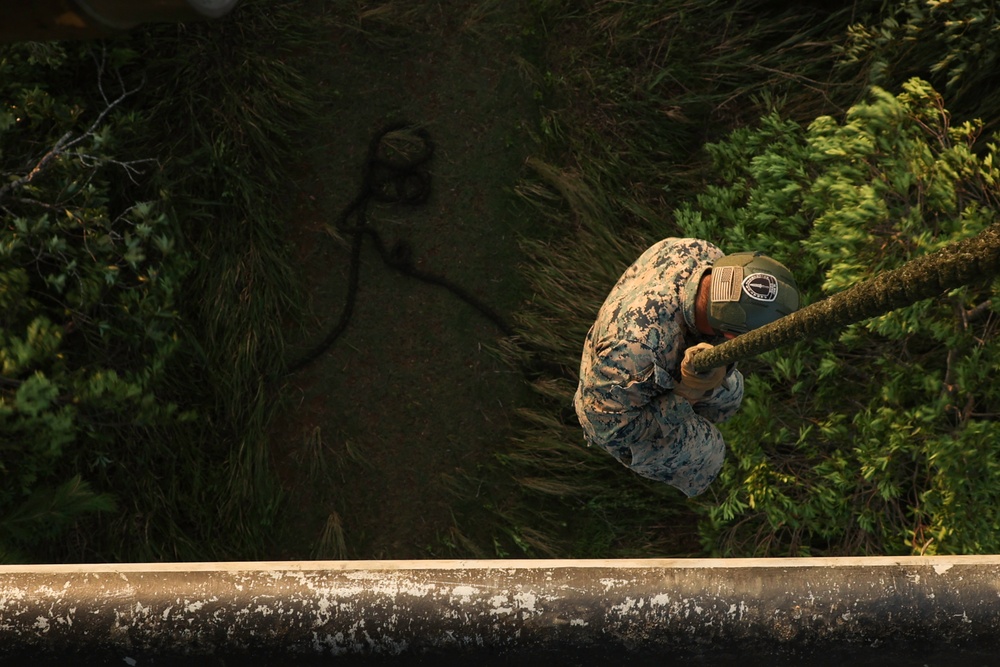 EOTG Marines fast rope during instructor development training 