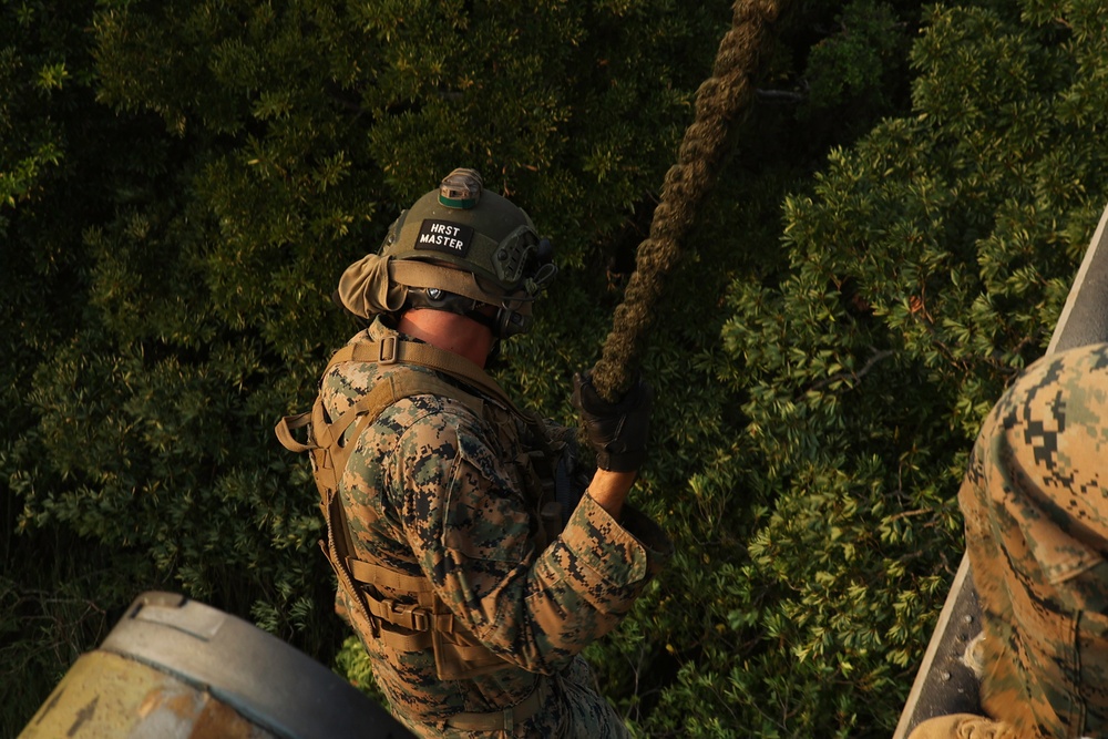 EOTG Marines fast rope during instructor development training 