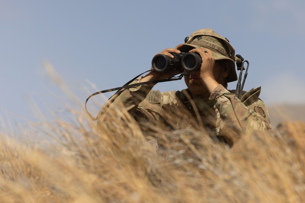 25th ID Soldiers Stand Guard During JPMRC 24-01