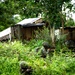 MRF-SEA Marines conduct Patrol During Corporals Course in Palawan