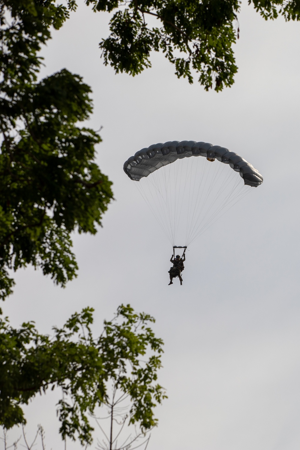 U.S. and Brazilian Special Forces Conduct a HAHO Jump During SV24