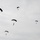 U.S. and Brazilian Special Forces Conduct a HAHO Jump During SV24