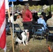 Fort Novosel Veterans Day Ceremony 2023