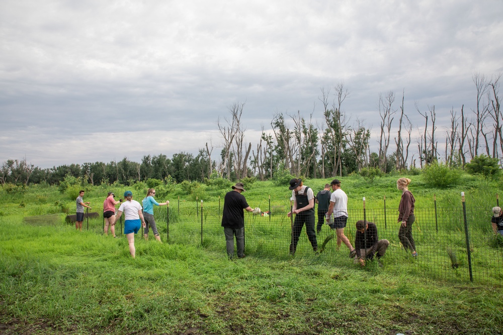 Rock Island District and Partners Planting at Huron Island