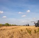 101st Airborne Division (Air Assault), Brazilian army soldiers conduct air assault during SV24