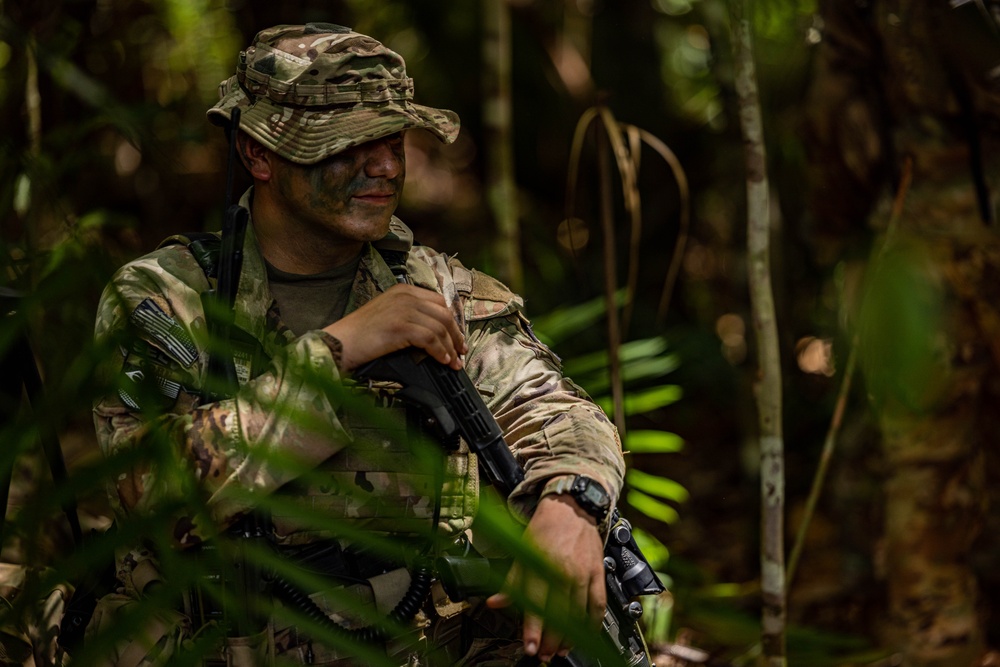 101st Airborne Division (Air Assault), Brazilian army soldiers conduct air assault during SV24