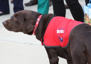 Former Washington Capitals’s team pup joins Walter Reed’s Facility Dog team