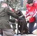 Former Washington Capitals’s team pup joins Walter Reed’s Facility Dog team