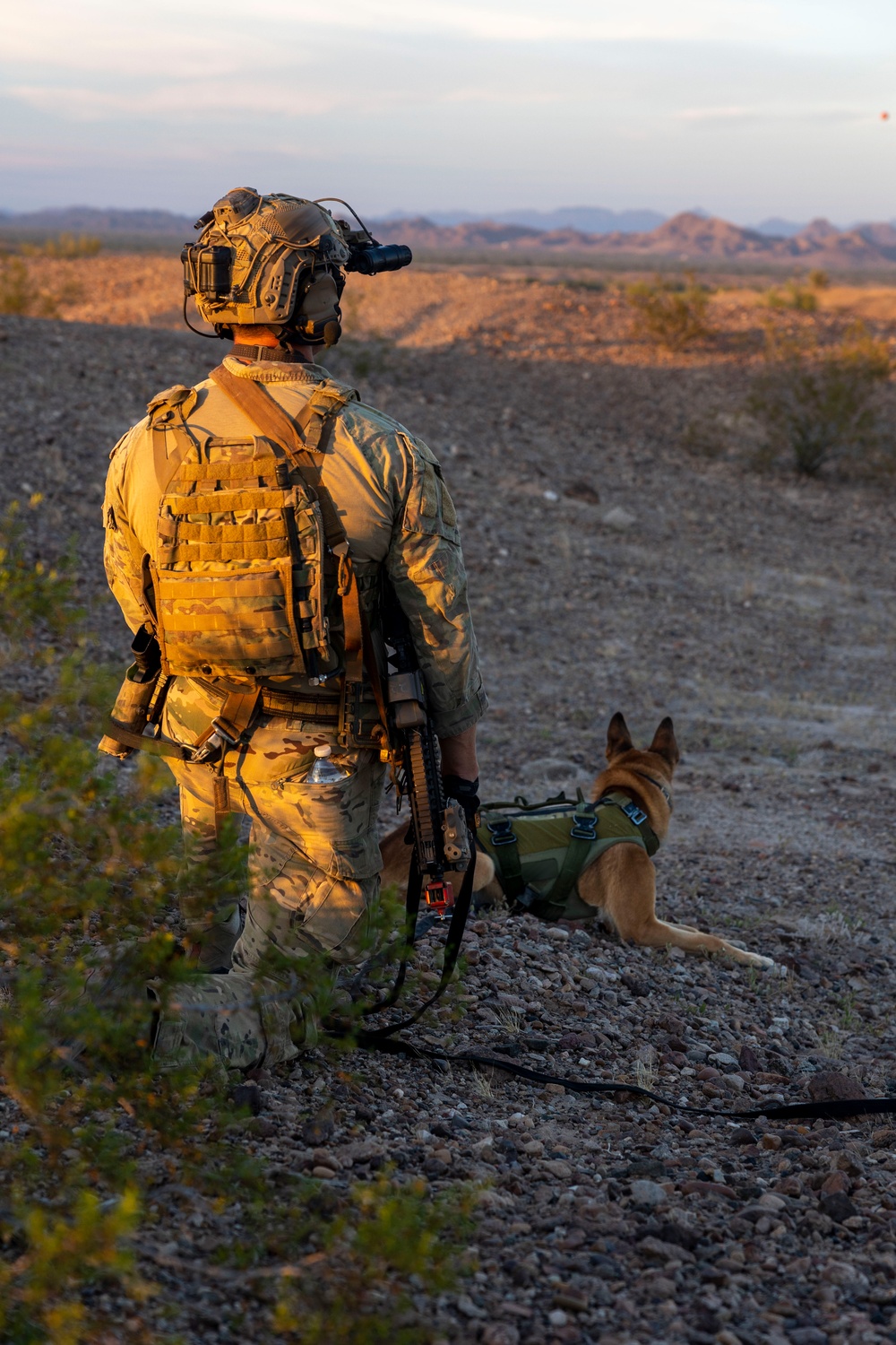 MARSOC Multi-Purpose Canine Handlers conduct Desert Training