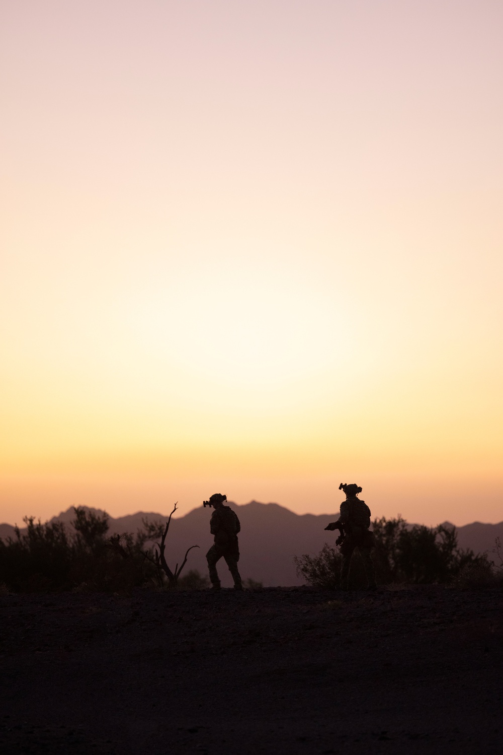 MARSOC Multi-Purpose Canine Handlers conduct Desert Training