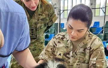 US sends military veterinary, preventive medicine providers for ASEAN PCMD