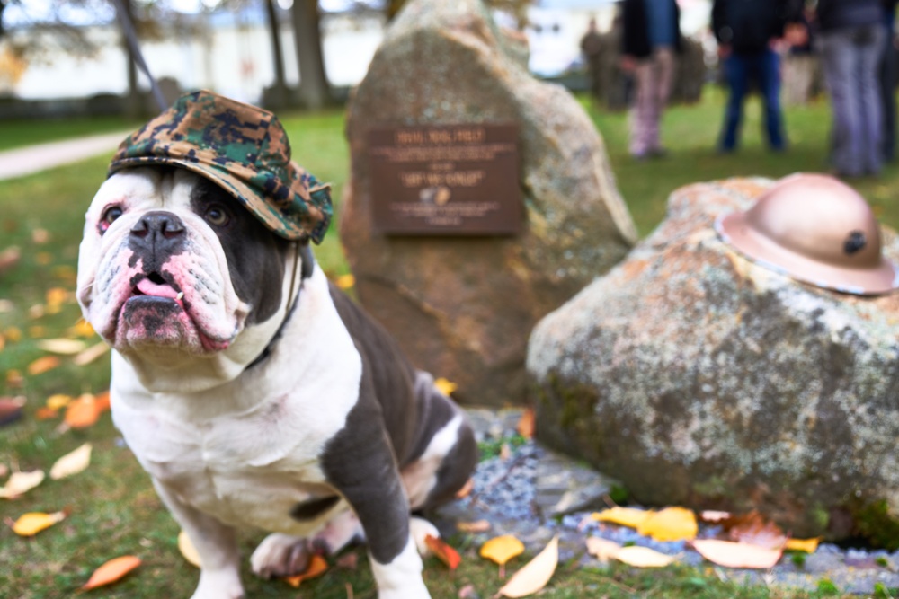 MARFOREUR/AF Celebrates 248th USMC Birthday