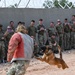 U.S. Air Force working dog demonstration with British Army