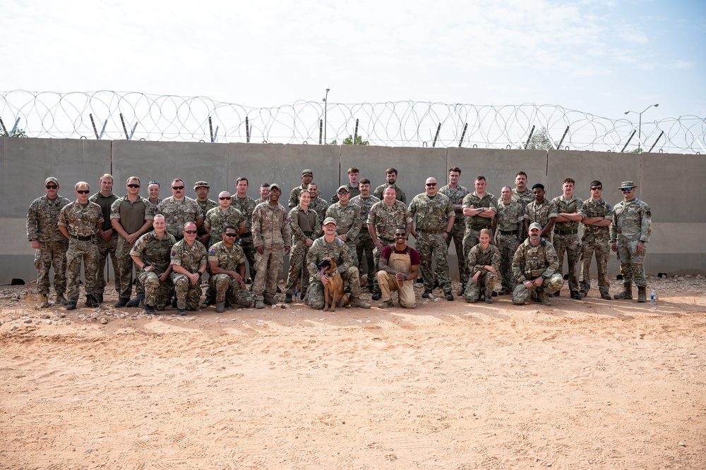 U.S. Air Force working dog demonstration with British Army