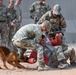 U.S. Air Force working dog demonstration with British Army