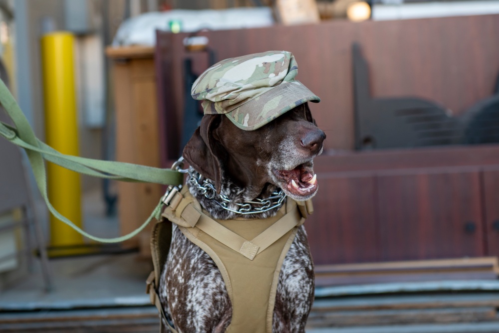 121st DPH enlists help of therapy dog