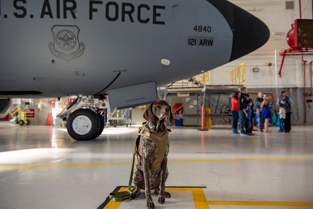 121st DPH enlists help of therapy dog