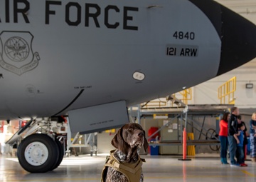 121st DPH enlists help of therapy dog