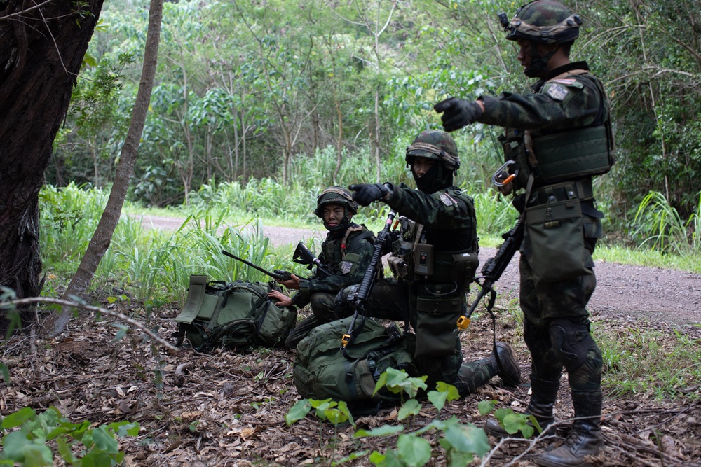 JPMRC 24-01 Assault on KTA