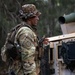 Wolfhounds Seize Final Mount Site JPMRC 24-01