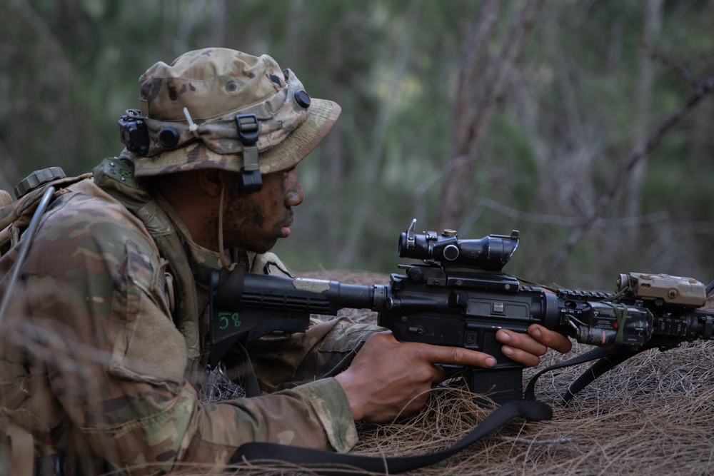 Wolfhounds Seize Final Mount Site JPMRC 24-01