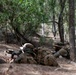 U.S. Soldiers attack objectives at Kahuku Training Area during JPMRC 24-01