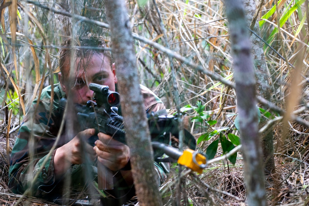 2nd and 3rd Infantry Brigade Combat Team, 25th Infantry Division, engage at Kahuku Training Area- JPMRC 24-01