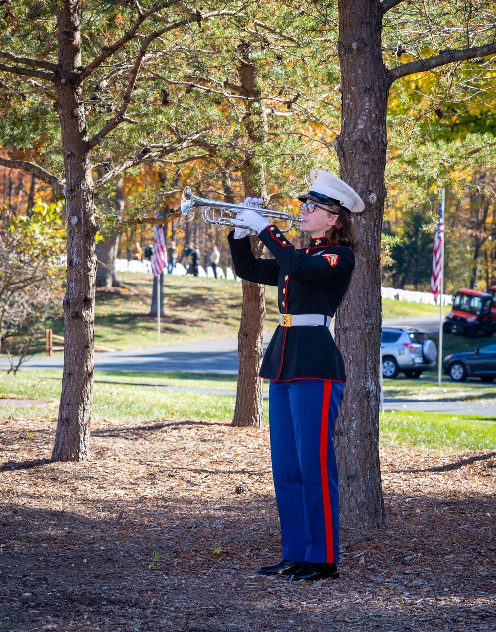 Veteran's Day ceremony held at National Memorial Cemetery at Quantico