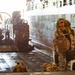 15th MEU Embarks Somerset